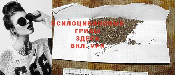 прущая мука Пересвет