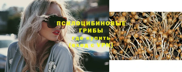 прущая мука Пересвет