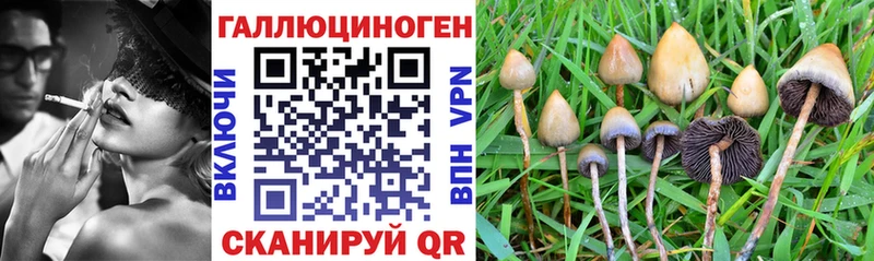 наркошоп  Темрюк  Псилоцибиновые грибы GOLDEN TEACHER 